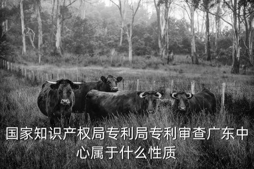 專利審查協廣州中心，廣州CQC分中心在哪里