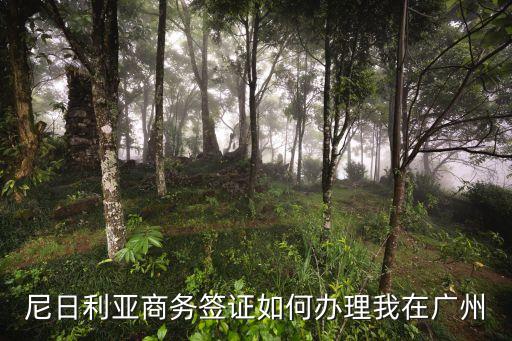 尼日利亞商人在廣州，尼日利亞商務簽證如何辦理我在廣州