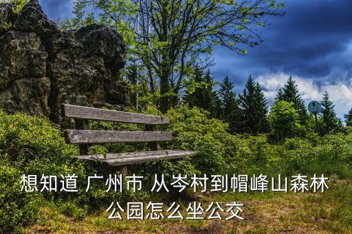想知道 廣州市 從岑村到帽峰山森林公園怎么坐公交