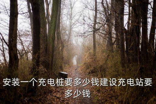 廣州聚賽龍充電樁價格，安裝一個充電樁要多少錢建設充電站要多少錢