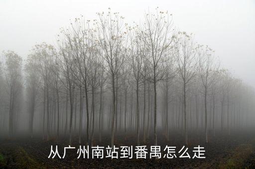 從廣州南站到番禺怎么走