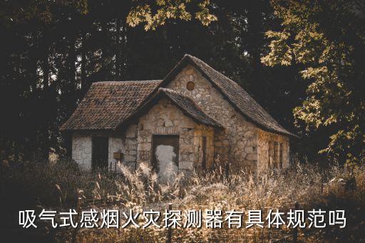 吸氣式感煙火災探測器有具體規范嗎