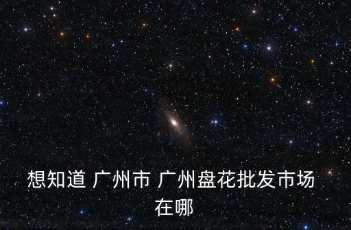 廣州龍溪最大的花卉市場，想知道 廣州市 廣州盤花批發市場 在哪