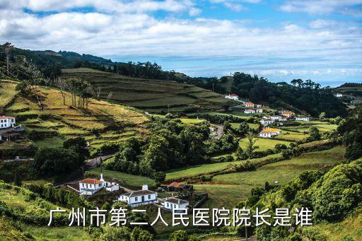 廣州市第二人民醫院院長是誰