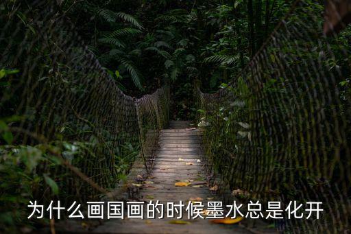 為什么畫國畫的時候墨水總是化開