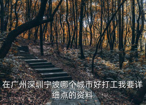 在廣州深圳寧波哪個城市好打工我要詳細點的資料