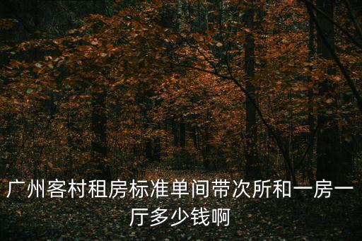 廣州客村租房標(biāo)準(zhǔn)單間帶次所和一房一廳多少錢(qián)啊
