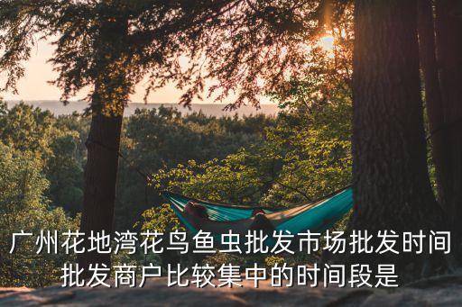 廣州花地灣水族批發時間，廣州芳村花地灣龜市塲每天什麼時間開市