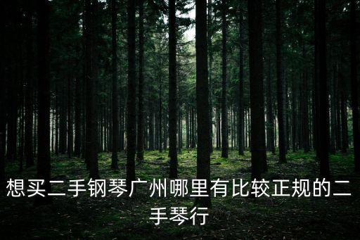 想買二手鋼琴廣州哪里有比較正規的二手琴行