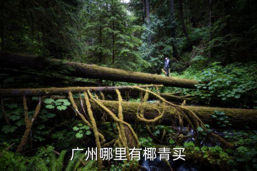廣州哪里有正宗椰子賣，結婚當天用的椰子廣州哪里有得買呀