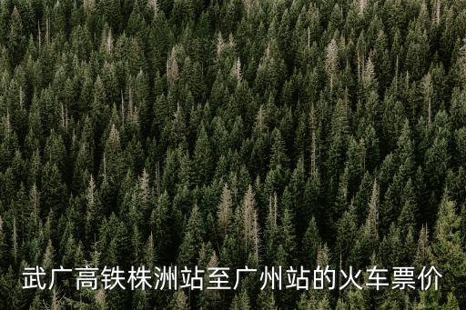 武廣高鐵株洲站至廣州站的火車票價(jià)