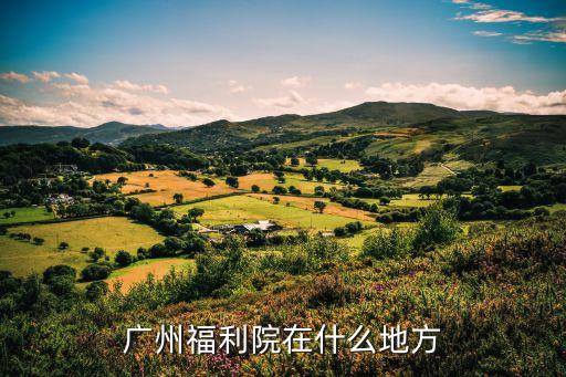 廣州市公費養(yǎng)老院，怎樣申請入佳廣州市公辦老人院