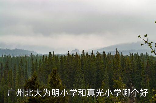 廣州北大為明小學和真光小學哪個好