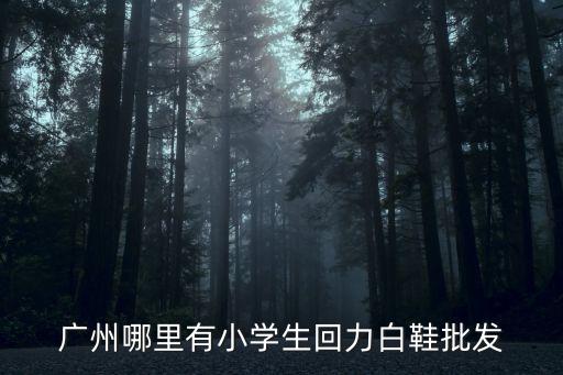 廣州哪里有小學生回力白鞋批發