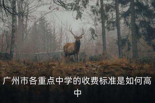 廣州市各重點(diǎn)中學(xué)的收費(fèi)標(biāo)準(zhǔn)是如何高中