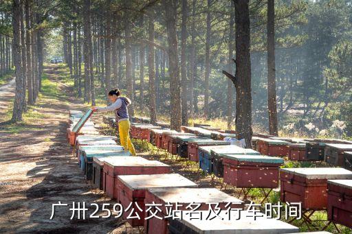 廣州259公交線路圖，廣卅259公交站名及行車時間