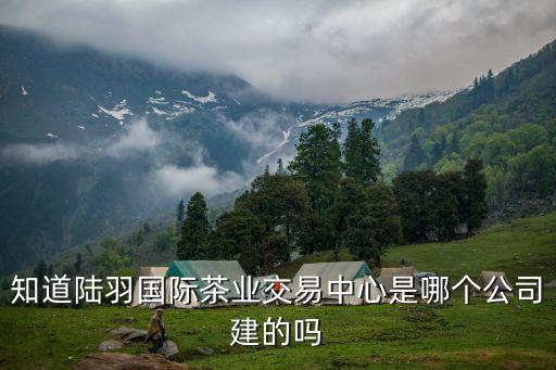 知道陸羽國際茶業(yè)交易中心是哪個公司建的嗎