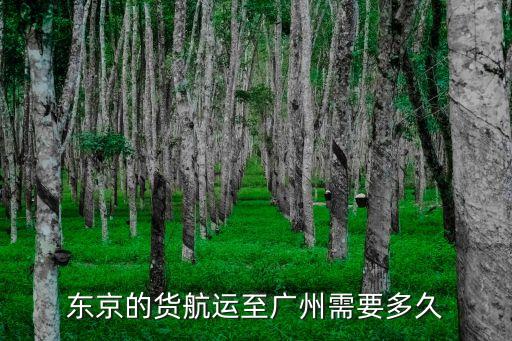 東京的貨航運(yùn)至廣州需要多久
