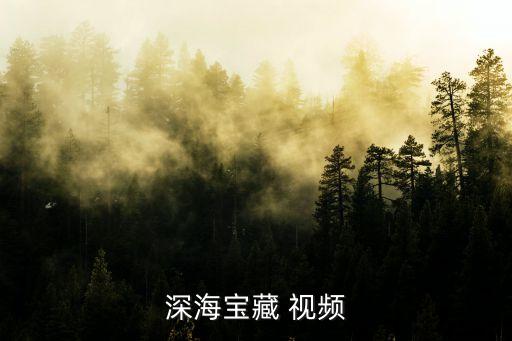 廣州海底過冬視頻，深海寶藏 視頻