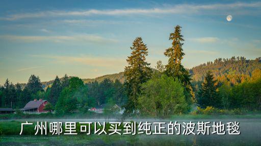 廣州哪里可以買到純正的波斯地毯