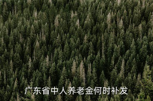 廣東省中人養老金何時補發