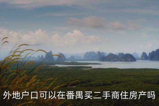 外地戶口可以在番禺買二手商住房產嗎