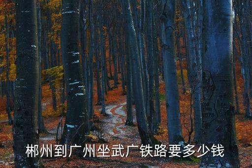 郴州到廣州火車站多少錢，郴州到廣州坐武廣鐵路要多少錢