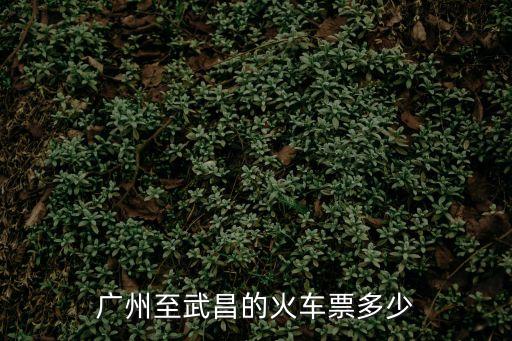 廣州站到武昌的車票，廣州到武昌火車站火車票多少錢一張