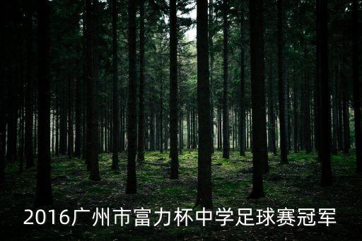 廣州富力u12梯隊(duì)奪冠賽亞軍，廣州富力贏了恒大今年會(huì)不會(huì)富力奪冠