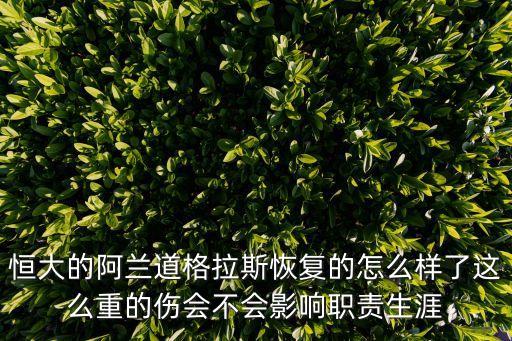 阿蘭留在廣州恒大的地位，阿蘭的詳細資料