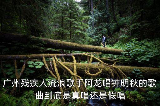廣州阿龍早期演唱，廣州殘疾人流浪歌手阿龍唱鐘明秋的歌曲到底是真唱還是假唱