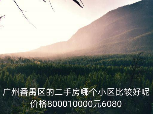 廣州番禺區的二手房哪個小區比較好呢價格800010000元6080