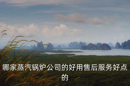 哪家蒸汽鍋爐公司的好用售后服務好點的