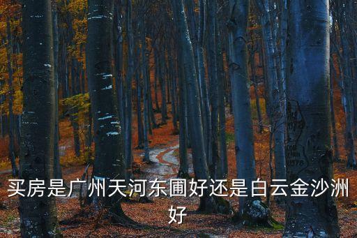 廣州最好的樓盤東圃，廣州東圃天力居 富力新村哪個好