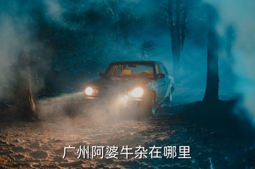 廣州哪里有正宗的牛雜條，廣州哪里有最好吃的牛雜