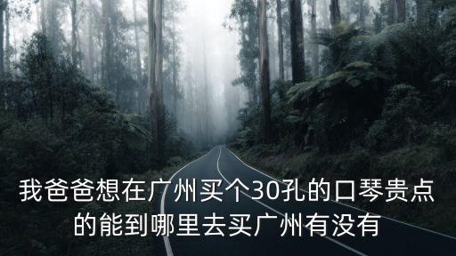 廣州柏斯市場，在廣州買鋼琴去哪里買比較好