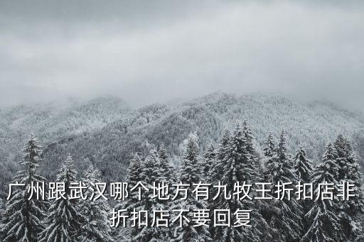 廣州跟武漢哪個地方有九牧王折扣店非折扣店不要回復(fù)