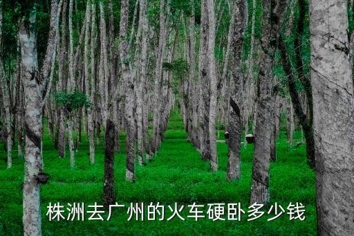 株洲到廣州的火車多少錢，武廣高鐵株洲站至廣州站的火車票價