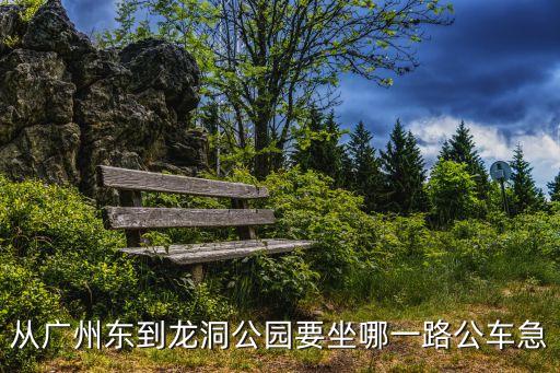 廣州東站到龍洞北苑坐幾路車，有廣州東站汽車客運站到龍洞北的公交嗎