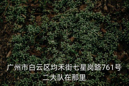 廣州交警白云二大隊事故組地址，白云區(qū)黃石路黃石立交橋東側(cè)白云二大隊怎么走