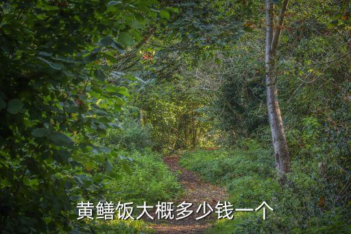 廣州黃鱔煲飯多少錢，黃鱔飯大概多少錢一個