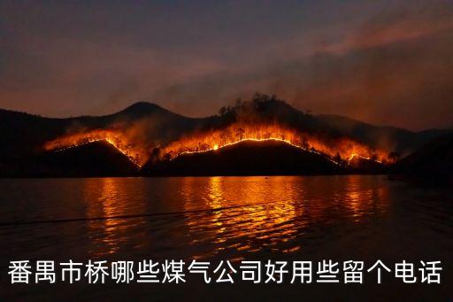 廣州市橋金灣燃氣，請問一下廣東的珠海金灣液化天然氣是國企嗎這個公司如何喃
