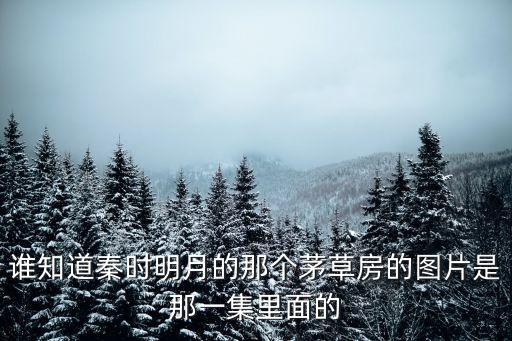 誰知道秦時明月的那個茅草房的圖片是那一集里面的