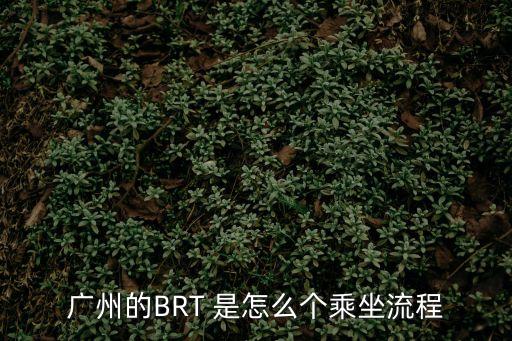 廣州的BRT 是怎么個(gè)乘坐流程
