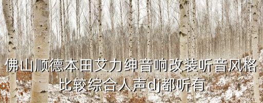 佛山順德本田艾力紳音響改裝聽音風格比較綜合人聲dj都聽有