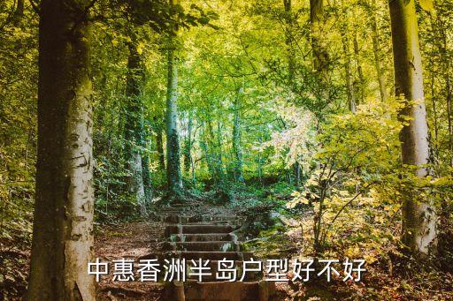 廣州中惠商住樓堵車嗎，中惠香樟半島地段怎么樣