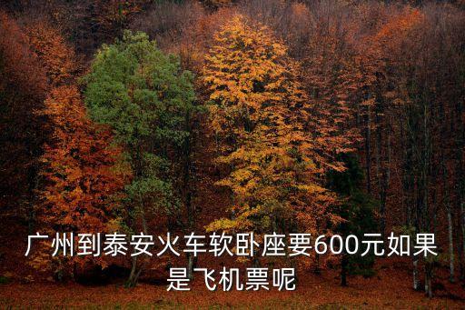 廣州到泰山火車(chē)票多少錢(qián)一張，從廣州到泰山的火車(chē)票多少錢(qián)