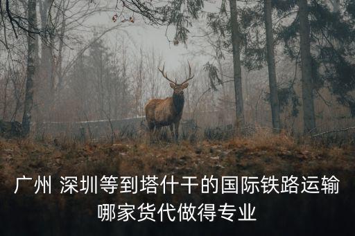 廣州 深圳等到塔什干的國際鐵路運輸哪家貨代做得專業