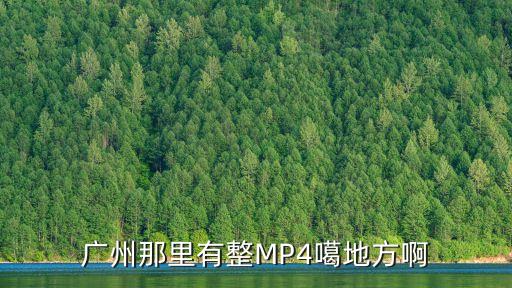 廣州那里有整MP4噶地方啊