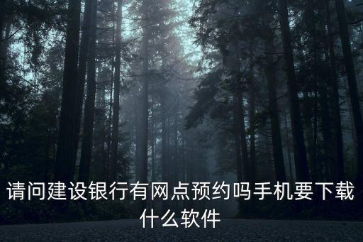 請(qǐng)問(wèn)建設(shè)銀行有網(wǎng)點(diǎn)預(yù)約嗎手機(jī)要下載什么軟件